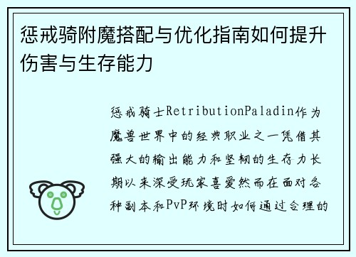 惩戒骑附魔搭配与优化指南如何提升伤害与生存能力
